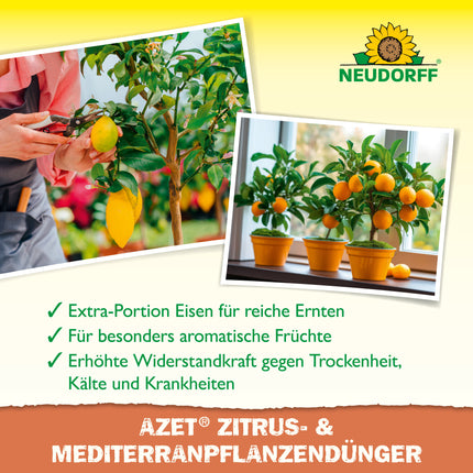 Azet Zitrus- & MediterranpflanzenDünger flüssig