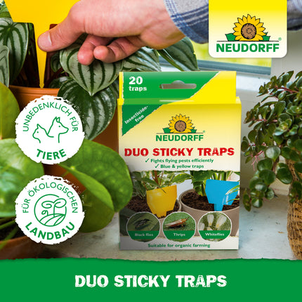 Duo Sticky Traps