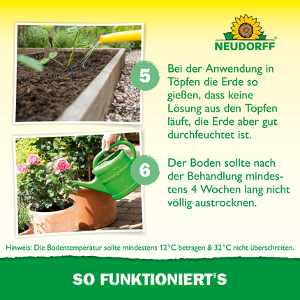 Nützlinge gegen Dickmaulrüssler