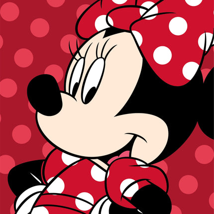 Minnie Maus Kuscheldecke Plüschdecke 100 x 150 cm weiche Decke