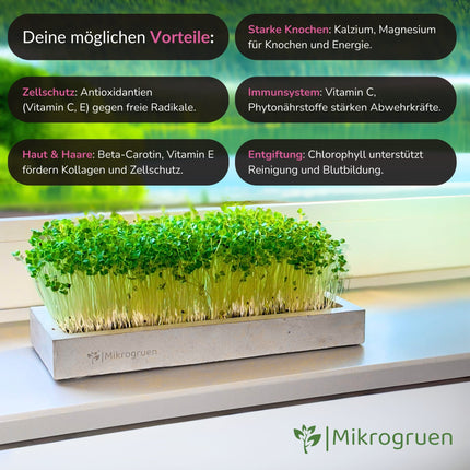 Microgreens Nachfüllset