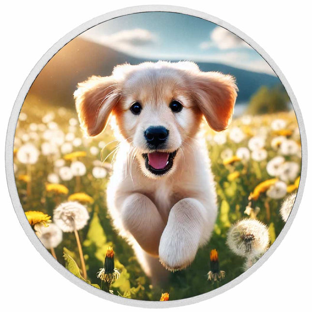 Field of Joy 1oz Silver Coloured Coin