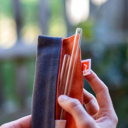 4x 23cm (Gerade) Glasstrohhalme inkl. kleiner orangen Tasche für Reise oder Transport (Glastrinkhalme) kaufen bei Linkreich – Jetzt entdecken!