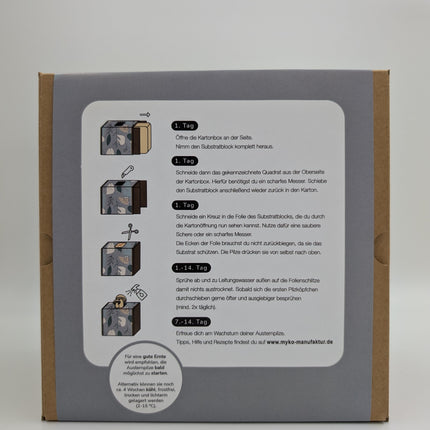 Austernseitling Fertigkultur in der Myko-Box