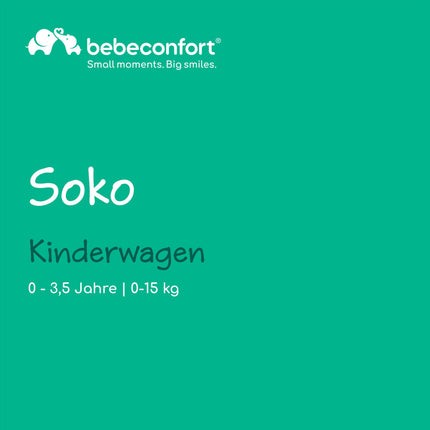 Bebeconfort Rainbow, Kinderwagen, Kompakt und Wendig, 6 Monaten bis 4 Jahre, bis zu 22 kg, Mineral Graphite