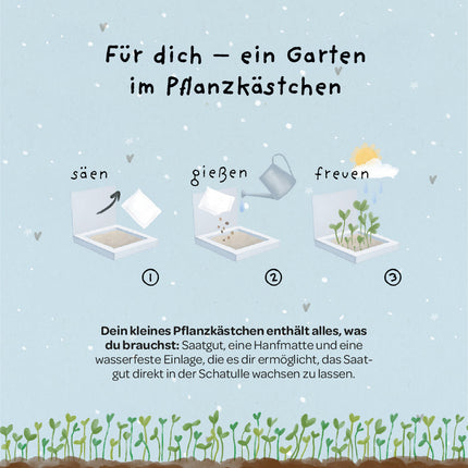 Pflanzkästchen - Herzrasen