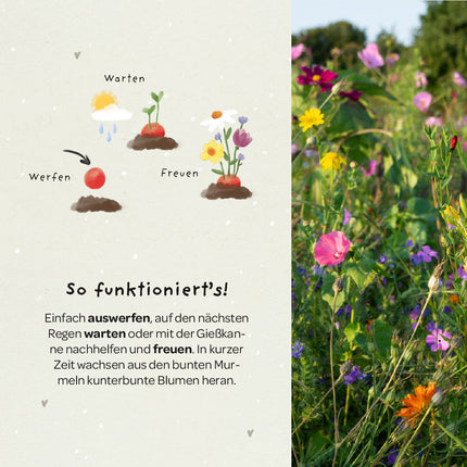 5 Blumenmurmeln im Tütchen zur Einschulung "Du bist 1. Klasse"