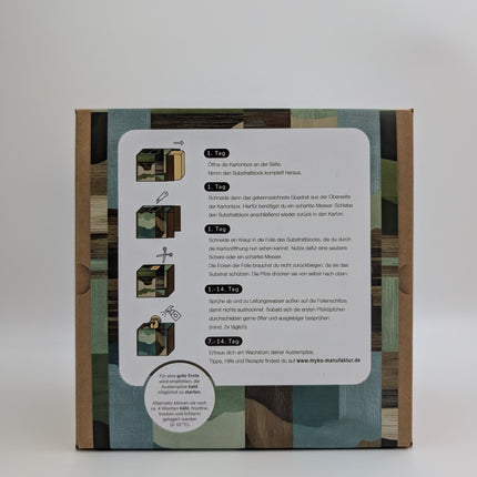 Austernseitling Fertigkultur in der Myko-Box