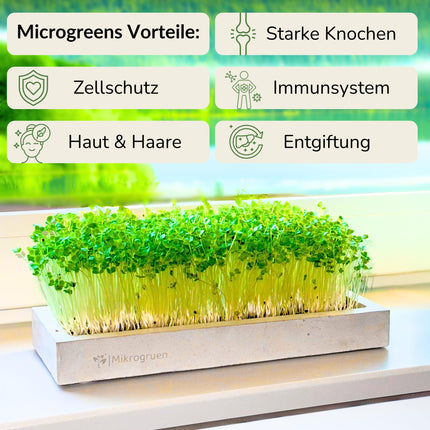Microgreens Mini-Set