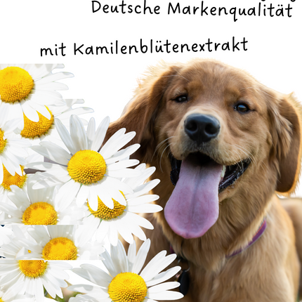 Riolino PureEars– Sanfte Reinigung für empfindliche Ohren