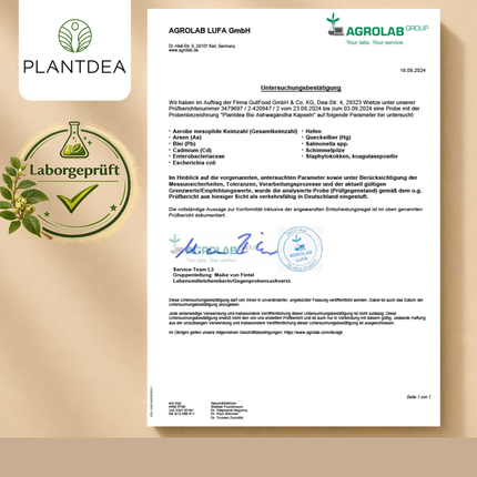 Bio Ashwagandha Kapseln