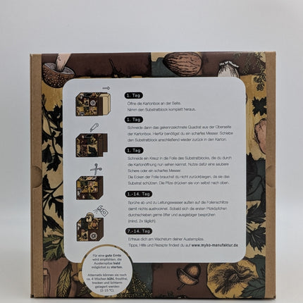 Austernseitling Fertigkultur in der Myko-Box