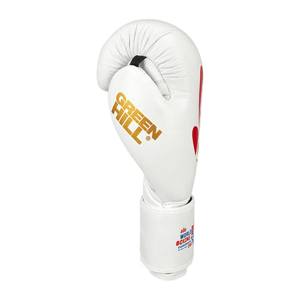 World Champions Boxhandschuh - Leder