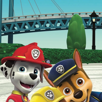 Paw Patrol Handtuch Baumwolle Strand Badetuch 70x140cm Marshall Chase
