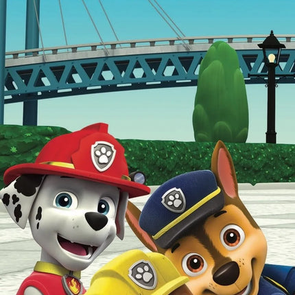 Paw Patrol Handtuch Baumwolle Strand Badetuch 70x140cm Marshall Chase