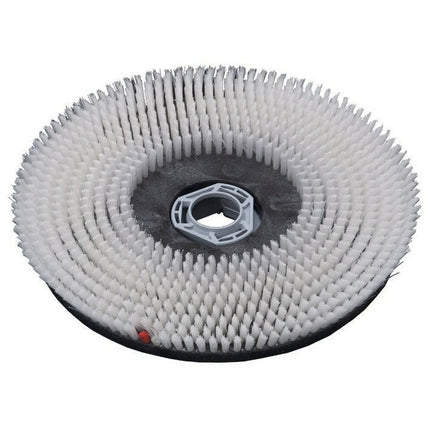 Scheuerbürste Waschbeton (43 cm), für swingo 1850 & 4000, Scheuerbürste mit abgeschrägten Borsten | Packung (1 Stück)
