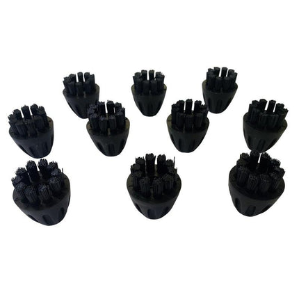 Nylonbürsten für den TASKI Steamer, Packung mit 10 Nylonbürsten (SV4 - SDV8) | Packung (10 Stück)