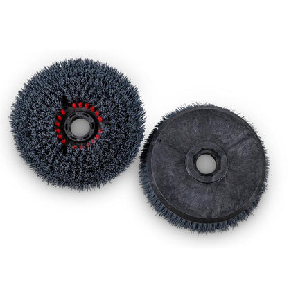 Longlife-Bürsten - 22,5cm / 8,5 Zoll, für TASKI swingo 250µicro | Karton (2 Packungen)