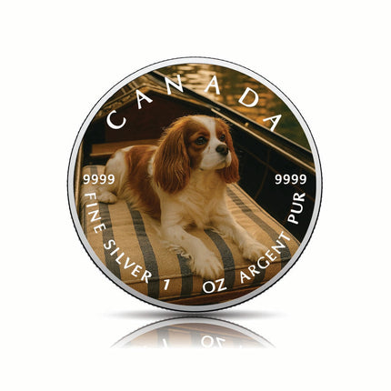 2025 Canada 1oz 9999 Silver BU The Gentle Voyager Colourized