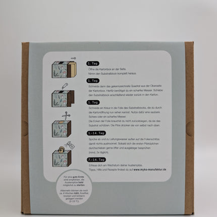 Austernseitling Fertigkultur in der Myko-Box