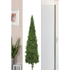 Baum