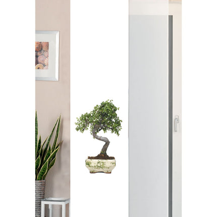 2er Set Schiebegardine Flächenvorhang Wildseide Optik und Voile Paneel 80400