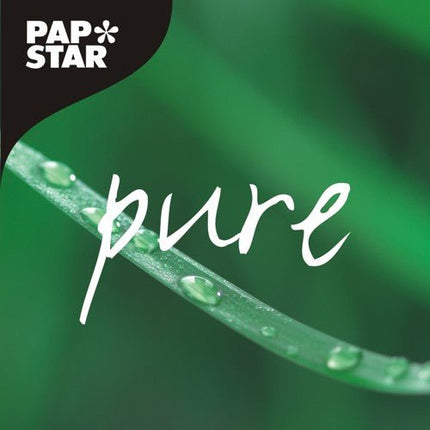 PAPSTAR Holz-Gabeln "pure" 16,5 cm, umweltfreundlich und stabil | Beutel (25 Stück)