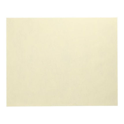 Starpak 100 Tischsets, stoffähnlich, Vlies "soft selection" 30 cm x 40 cm