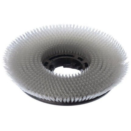 Scheuerbürste Waschbeton (43 cm), für swingo 3500, Scheuerbürste mit abgeschrägten Borsten | Packung (1 Stück)