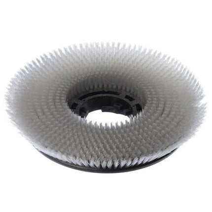 Scheuerbürste Waschbeton (50 cm), für swingo 1255, Scheuerbürste mit abgeschrägten Borsten | Packung (1 Stück)