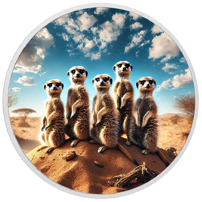 Desert Guardians: Meerkat Clan on Watch Coloured Coin