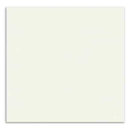PAPSTAR Servietten 1/4-Falz, 33x33 cm, weiß, 2-lagig | Folie (50 Stück)