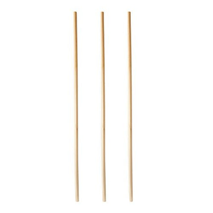 PAPSTAR Trinkhalme "pure" Ø 4 mm, 23 cm, umweltfreundlich | Spenderkarton (150 Stück)
