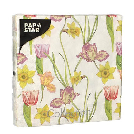 PAPSTAR 20 Servietten, 33 cm x 33 cm 3-lagig 1/4-Falz Design Set 1