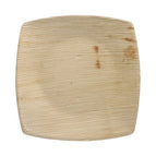 20 x 20 cm
