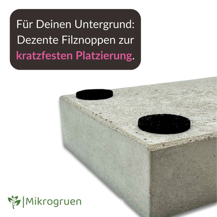 Anzuchtschale für Microgreens aus Beton