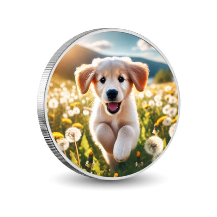 Field of Joy 1oz Silver Coloured Coin