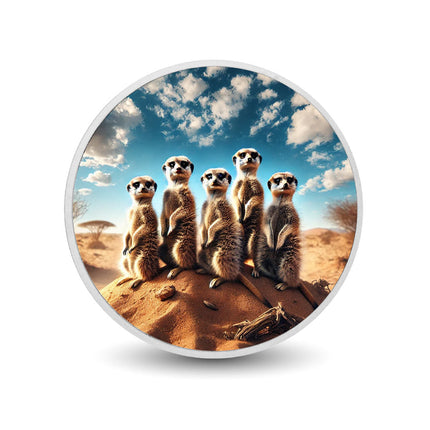 Desert Guardians: Meerkat Clan on Watch Coloured Coin
