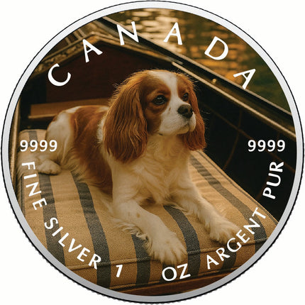 2025 Canada 1oz 9999 Silver BU The Gentle Voyager Colourized