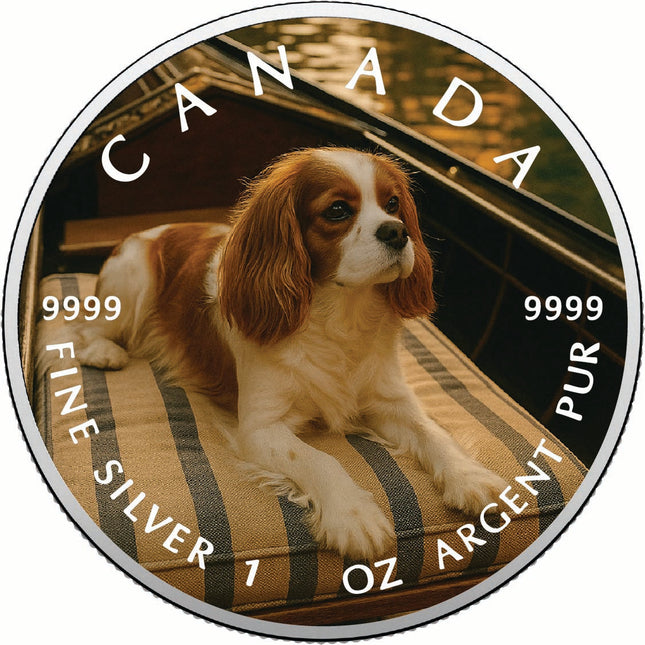 2025 Canada 1oz 9999 Silver BU The Gentle Voyager Colourized