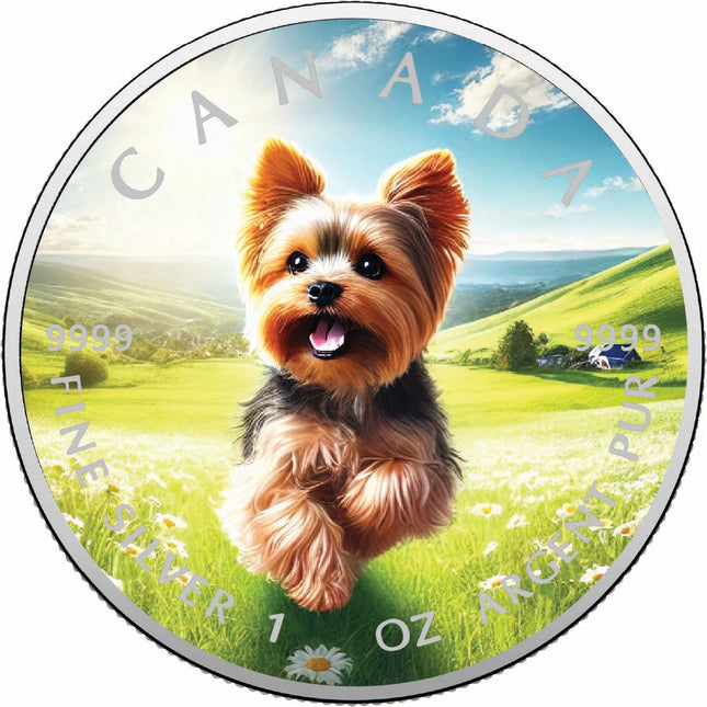 2025 Canada 1oz 9999 Silver BU The Tiny Adventurer Colourized