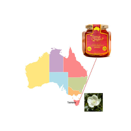 Leatherwood Honey 250g – Tasmanian Raw Honey, Cold Extracted, Natural