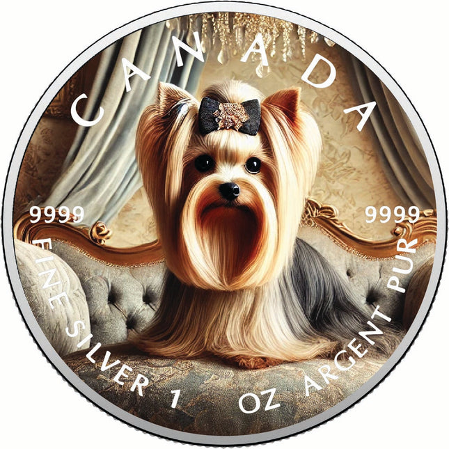 2025 Canada 1oz 9999 Silver BU The Château Chic Colourized