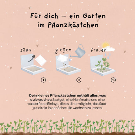 Pflanzkästchen - HDGDL - Hab dich ganz doll lieb