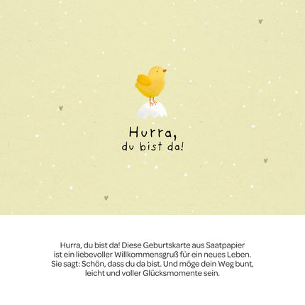 Grußkarte - Hurra, du bist da!