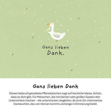 Pflanzkästchen - Gans lieben Dank