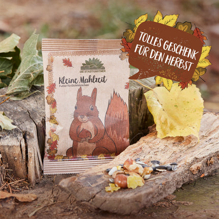 Kleine Mahlzeit – Eichhörnchenfutter