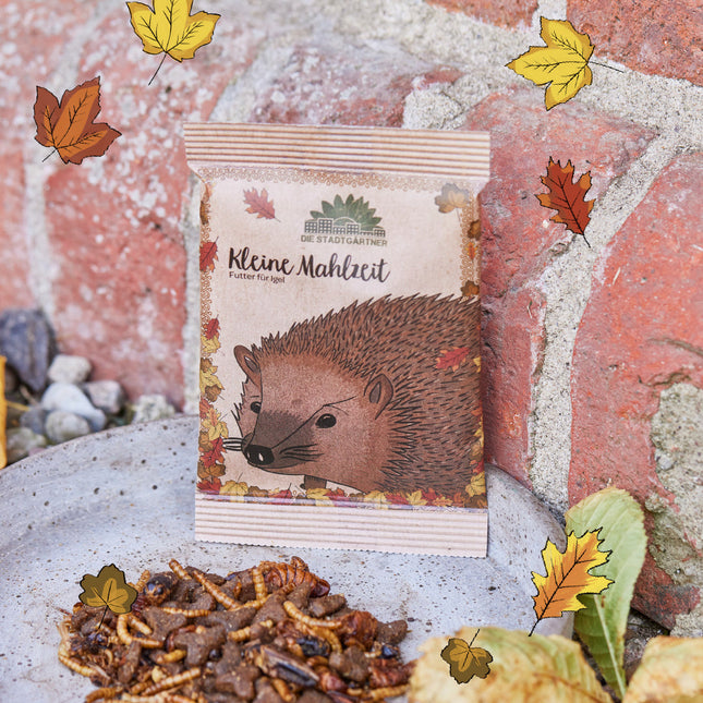 Kleine Mahlzeit – Igelfutter