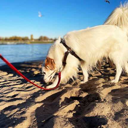 Anti-Stress-Geschirr STURMFREI®, Größe S