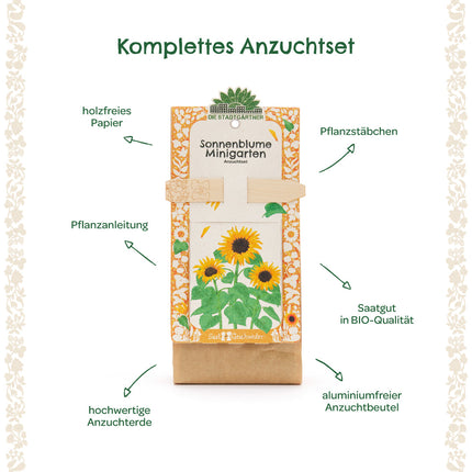 Anzuchtset – Minigarten BIO-Sonnenblume